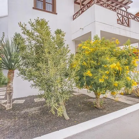 Hogar Palmera With Pool & דירה